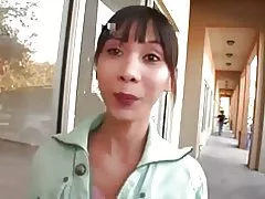 Miako אסייתי בוגר